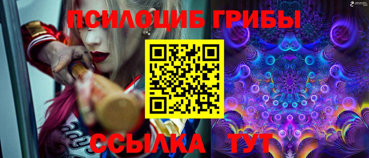 Галлюциногенные грибы мухоморы  Псилоцибиновые грибы GOLDEN TEACHER  Вход с VPN  Волгоград 